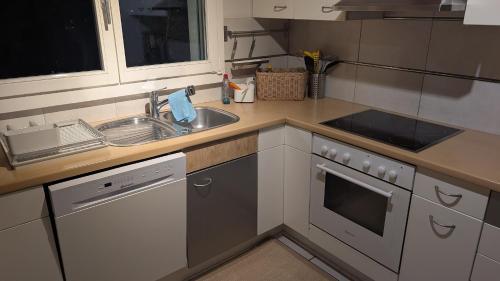 a kitchen with a sink and a dishwasher at Casa14 - Swiss houses in Steffisburg