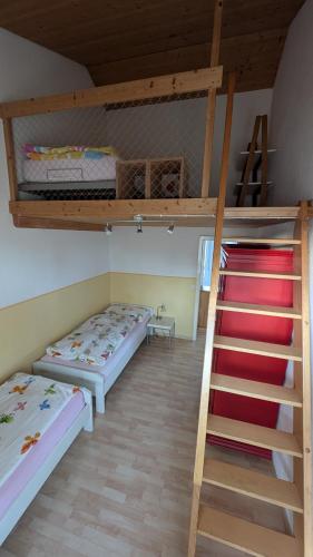 a room with two bunk beds and a ladder at Casa14 - Swiss houses in Steffisburg