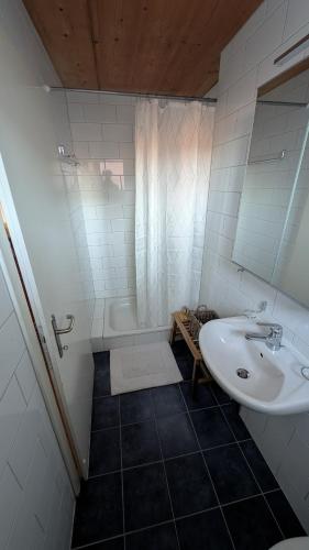 a bathroom with a sink and a shower and a tub at Casa14 - Swiss houses in Steffisburg
