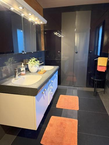 a bathroom with a sink and a shower at Casa14 - Swiss houses in Steffisburg