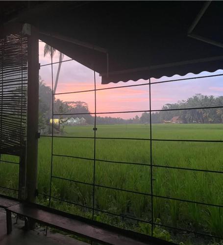 Blick auf den Sonnenuntergang/Sonnenaufgang von des Hostels aus oder aus der Nähe