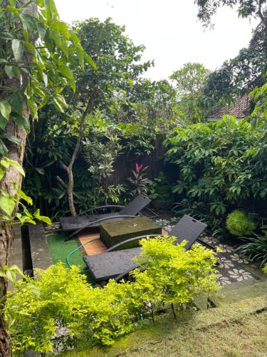 a garden with green plants and trees and a table at Pranajaya loka villa in Tejakula