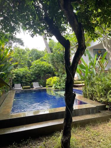 a swimming pool in a garden next to a tree at Pranajaya loka villa in Tejakula