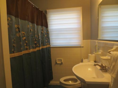 een badkamer met een wastafel, een toilet en een douchegordijn bij 3 Bed 2 Bath renovated house in West Rome in Rome