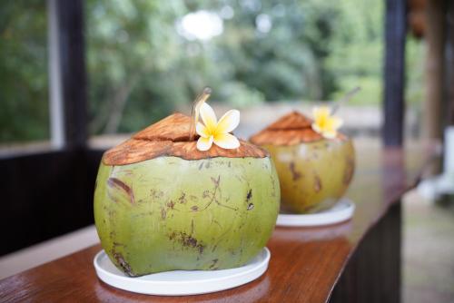 two coconuts with flowers on them on a table at Cozy Room Monkey View in Kaba-Kaba in Tumbak Bayuh