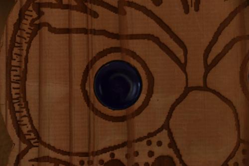 a close up of a camera with a picture of a eye at AsobiBASE Yamabare-House in Ishigaki Island