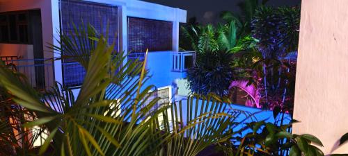 a bunch of plants in front of a building at Villa Alizee in Port Louis