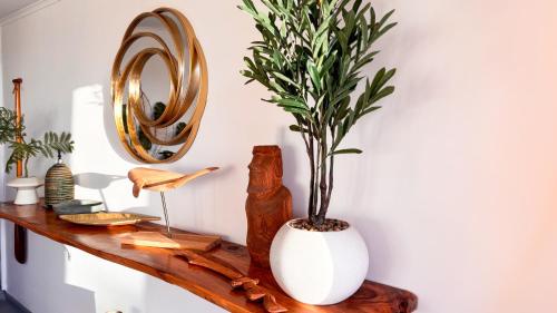 a plant in a white vase on a wooden shelf at Tahai Loft Apart Hotel in Hanga Roa