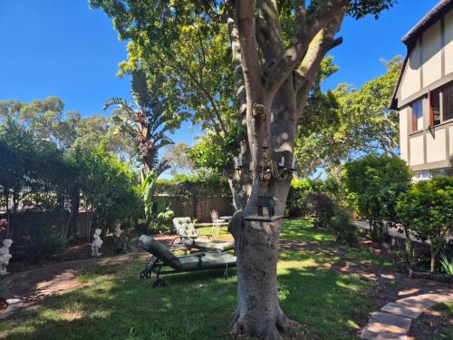 a tree with a bench in a yard at Afton Safari Lodge in Cape Town