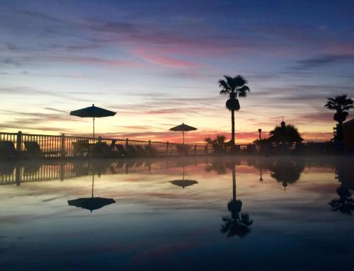a sunset with a reflection of a palm tree and umbrellas at Coral Sands Inn in Ormond Beach