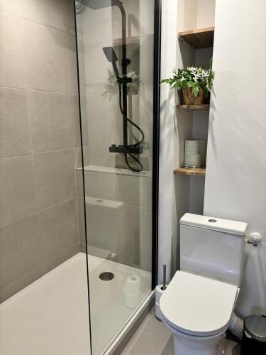 une salle de bain avec toilettes et douche en verre dans l'établissement Élégant T2 à 100m de la plage - Proche Aéroport, à Cagnes-sur-Mer