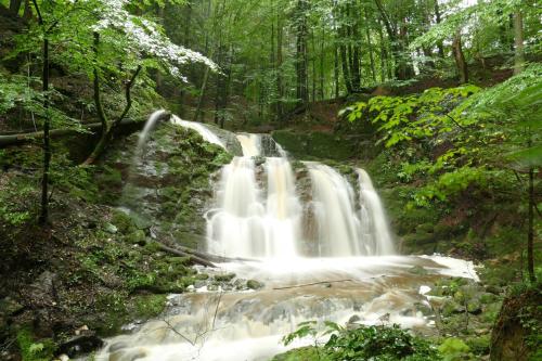 a waterfall in the middle of a forest at Seebühnenblick in Seeham