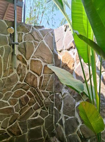 a stone wall with a shower in a bathroom at old famer's house, filed, nature in Ấp Tây Khánh (2)