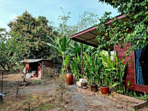 a small red house with plants in front of it at old famer's house, filed, nature in Ấp Tây Khánh (2)