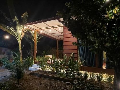 a garden with a pergola at night at old famer's house, filed, nature in Ấp Tây Khánh (2)