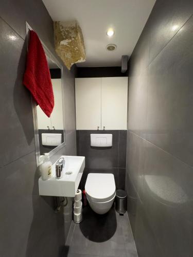 une salle de bain avec des toilettes blanches et un lavabo dans l'établissement Appartement design au cœur du Marais, à Paris
