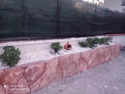 Afbeelding uit fotogalerij van Villa Mirko in Vaccarizzo - Delfino