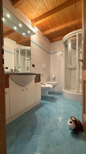 a bathroom with a dog laying on the floor at Appartamento Villa Nicole in Transacqua