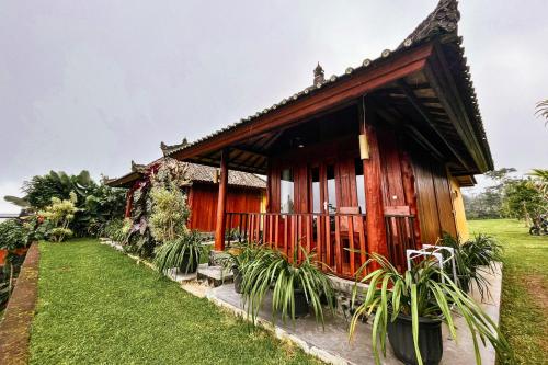 a small house in a field with grass at Munduk Luwih Ecolodge Bedugul by AGATA in Tabanan