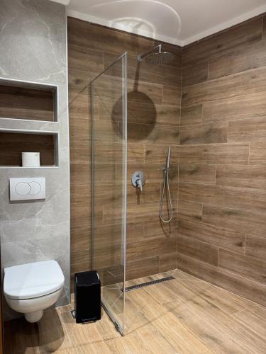 Un baño con inodoro y ducha de cristal. en Hotel with Castle View, en Gjirokastra