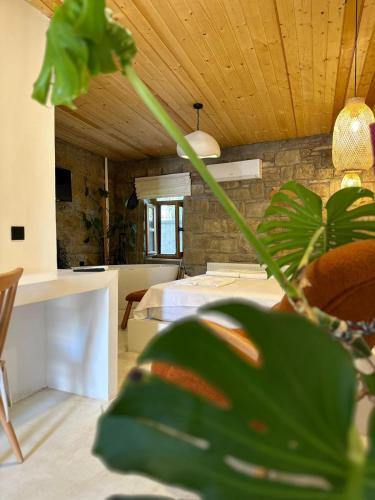 a plant in a vase in a room at Paleos İmroz in Gökçeada