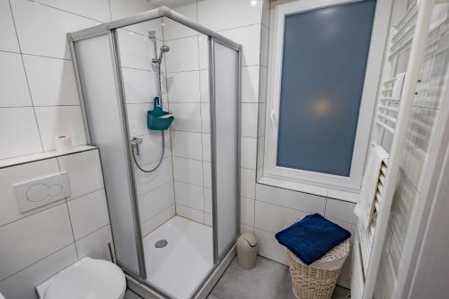 a bathroom with a shower and a toilet at HANNIBAL - Design Studio-Apartment Tulpe 9, Parkplatz, Küche, HighSpeed-WLAN in Wolfsburg