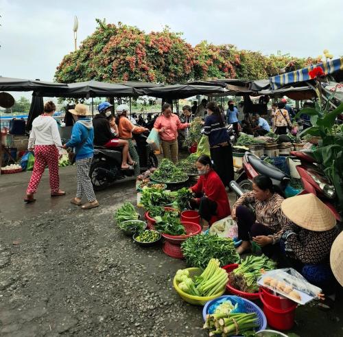 a group of people at an outdoor market with vegetables at dove home - barn, bird, chicken, sunshine, flower, paceful in Cái Răng
