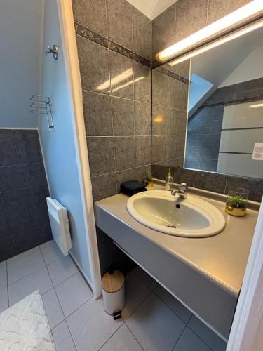 une salle de bain avec un lavabo et un miroir dans l'établissement Duplex de charme près du golf, wifi et parking, à Bellême