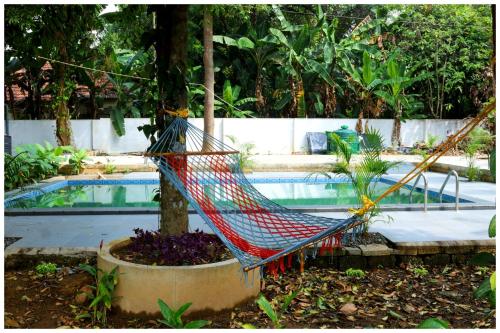 a hammock hanging from a tree next to a pool at Vajra Periyar Heritage in Alwaye