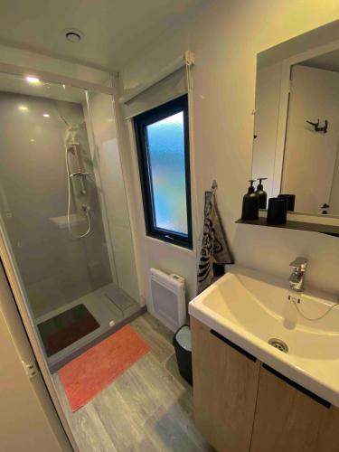 une salle de bain avec une douche, un lavabo et un miroir dans l'établissement Élégant mobil-home, à Le Touquet Airport