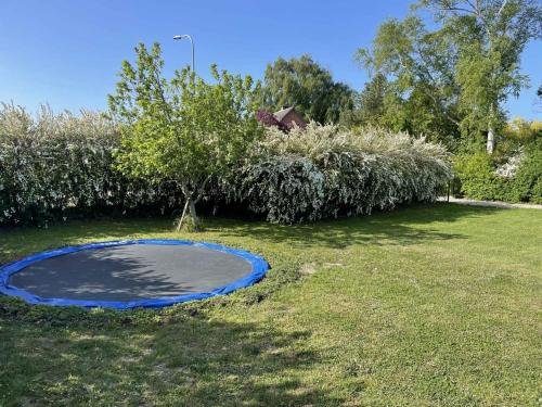 a blue circle in the grass in a yard at Child-Friendly Cottage With Large Indoor Pool in Otterup