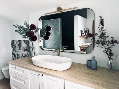 une salle de bain avec un lavabo et un grand miroir dans l'établissement Casa Regina - Spacieux appartement près de la Sorgue, à LʼIsle-sur-la-Sorgue