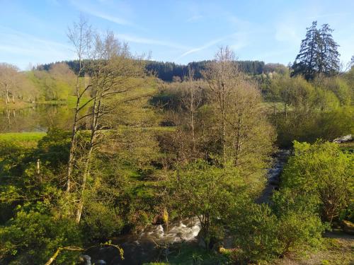 a river in the middle of a field with trees at Maison p'tite Anne in Arleuf