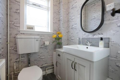 a bathroom with a sink and a toilet and a mirror at Allonby Cottage in Kippford