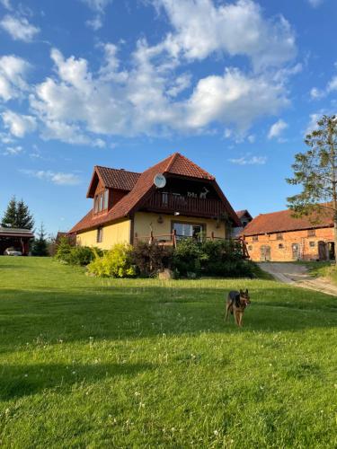a dog standing in a field in front of a house at Domek w Las Bagnas in Konopki Małe