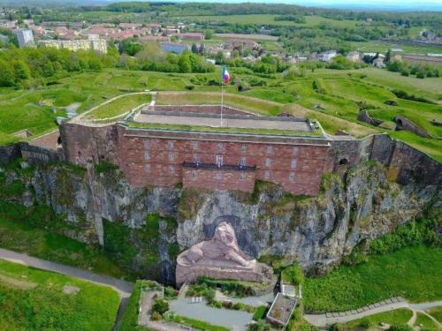 a building on a cliff with a statue on it at DOMITYS - Cybèle in Belfort