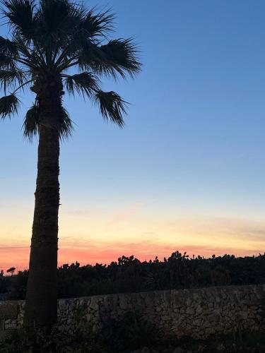a palm tree with the sunset in the background at Villa Chimera in Pachino