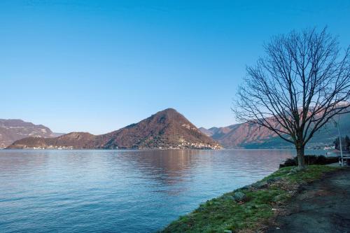 a tree sitting next to a body of water at Lake and Love - Lago D'Iseo in Sulzano