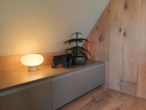 a plant on a cabinet with a lamp on it at Den Broecke Appartement in Bornerbroek