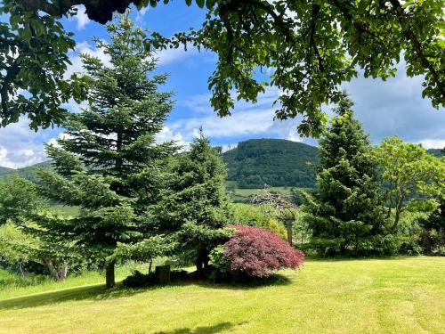 a group of trees in a field with mountains in the background at Chalupa pri Ukoch, welness in Matěk