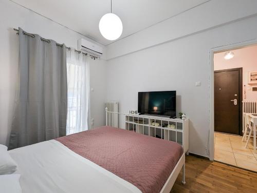 Cozy 1BD apt next to Kallimarmaro Stadium