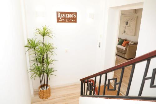 Φωτογραφία από το άλμπουμ του Remedios 43 σε Vejer de la Frontera