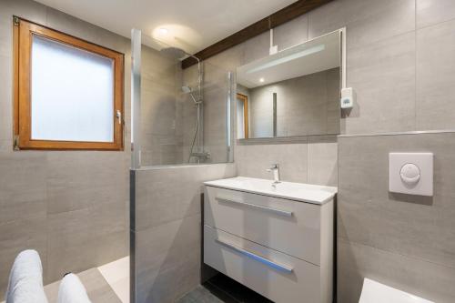 une salle de bain avec un lavabo et un miroir dans l'établissement Duplex du Moulin - Parking et terrasse, à La Bresse