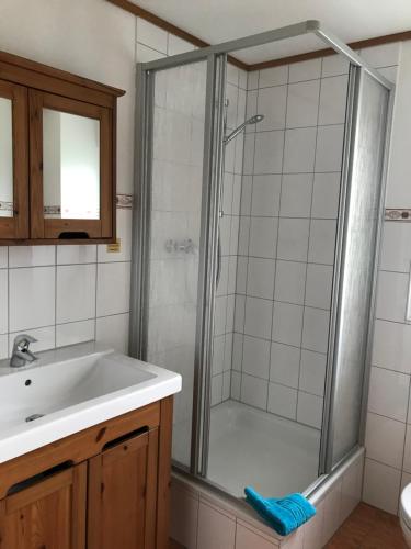 a bathroom with a shower and a sink at Ferienwohnung im Ferienresort Kulkwitzer See Leipzig in Leipzig