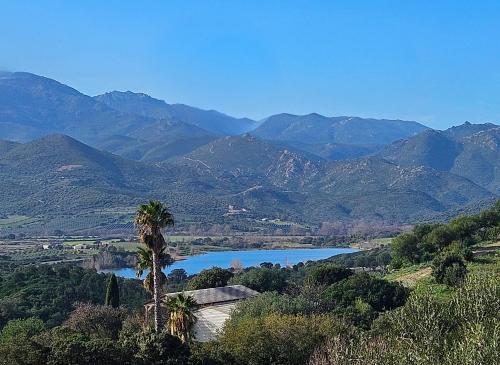 une vue sur une montagne avec un palmier et un lac dans l'établissement Villa de standing Vista - Piscine - Vue Lac de Padula, à Oletta