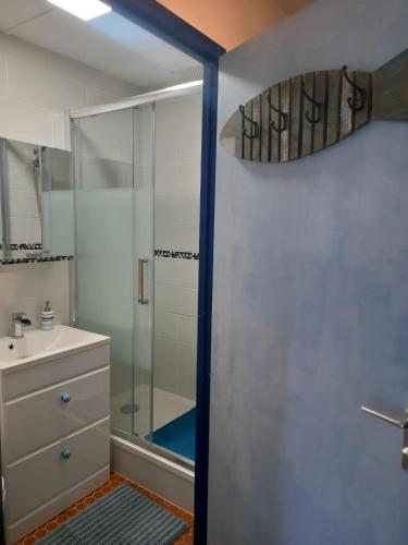 une salle de bain avec douche et lavabo dans l'établissement Appartement Saint-Nic, Pentrez,entre Douarnenez Crozon, à Saint-Nic