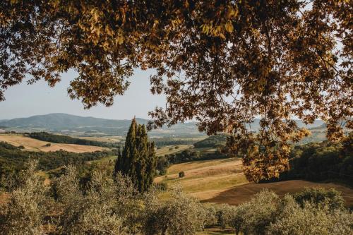 a view of the rolling hills and trees at Tenuta Mocajo in Guardistallo
