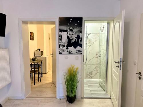 a bathroom with a shower and a glass door at City Apartments in Neumünster - Ruhige Lage mit bester Anbindung in Neumünster