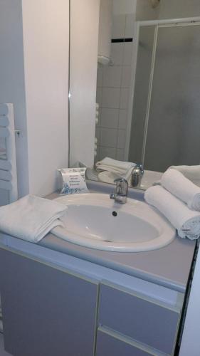 une salle de bain avec un lavabo, un miroir et des serviettes dans l'établissement Studio in Issy Les Moulineaux, à Issy-les-Moulineaux