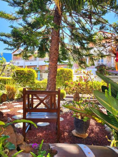 a wooden bench sitting next to a tree in a garden at Hotel Des Neiges in Cilaos